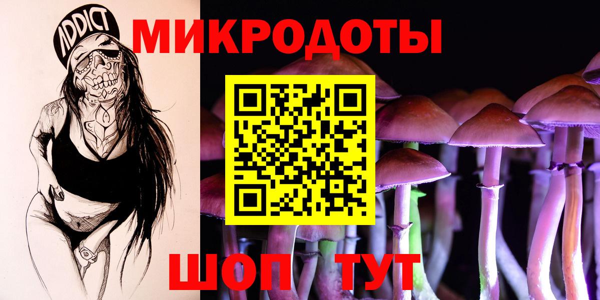Псилоцибиновые грибы GOLDEN TEACHER Осинники