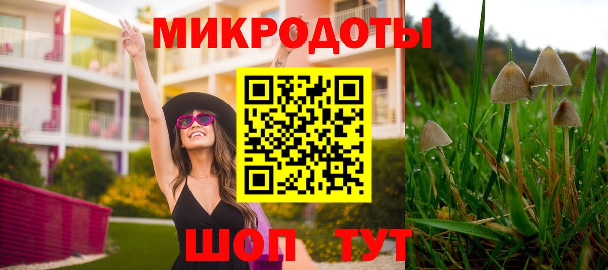 цена   Вход с VPN  Осинники  Псилоцибиновые грибы мицелий 